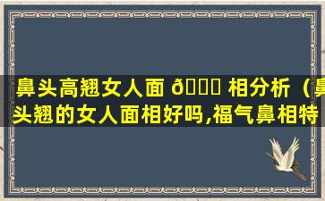 鼻头高翘女人面 🐈 相分析（鼻头翘的女人面相好吗,福气鼻相特征）